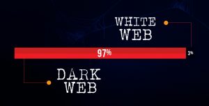 How Much Share Does Deep Web Covers and White Web Covers